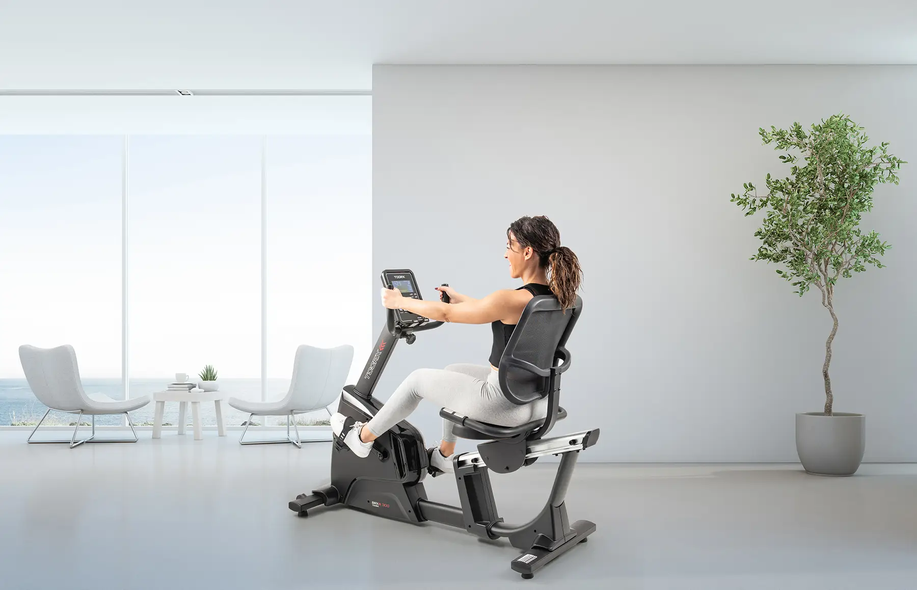 Горизонтальний велотренажер Toorx Recumbent Bike BRXR 300 (BRX-R300) 83742