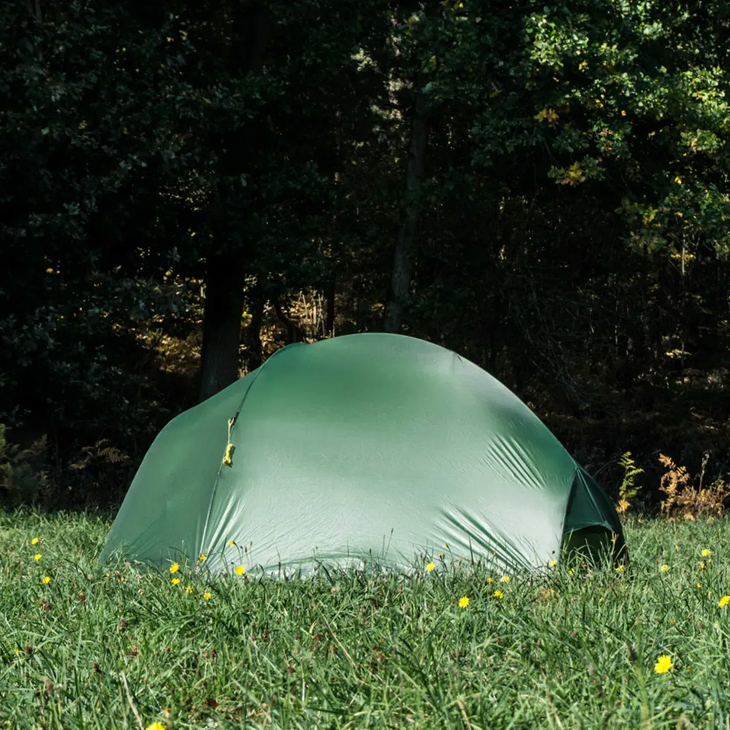 Намет Wechsel Exogen 1 ZG Green (231048) 119858