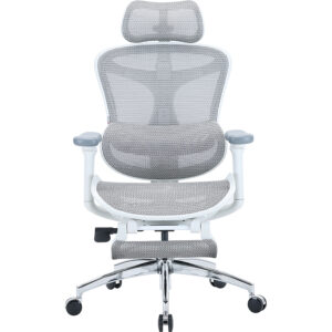 Sihoo DORO C300L Mesh White with footrest